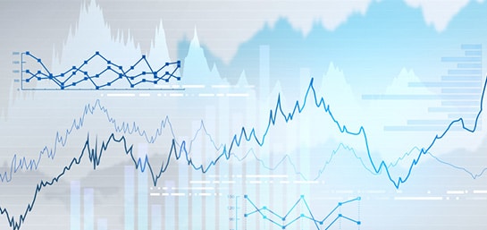 Solvency II Implementation: Director Plan